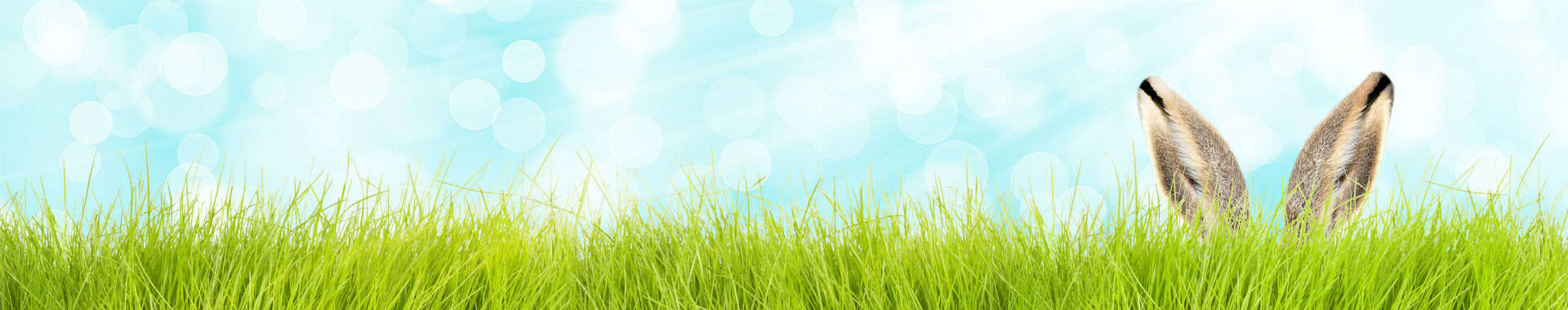 Virtual Easter egg hunt at vie aesthetics Blog Banner