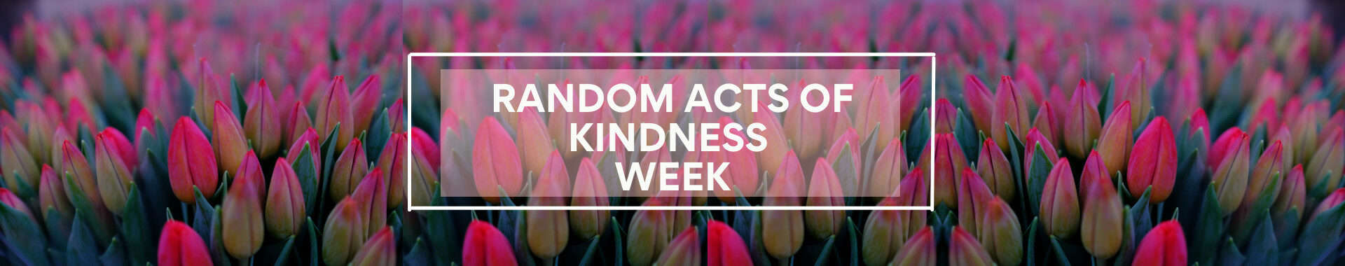 Random Acts of Kindness Week