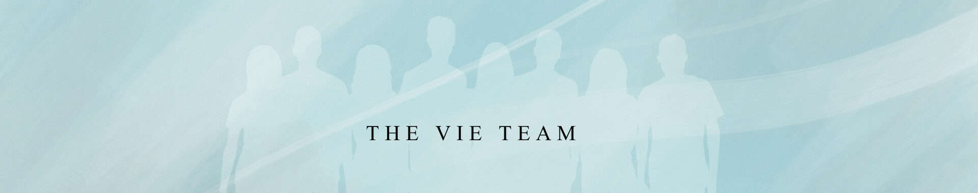 meet the vie team banner