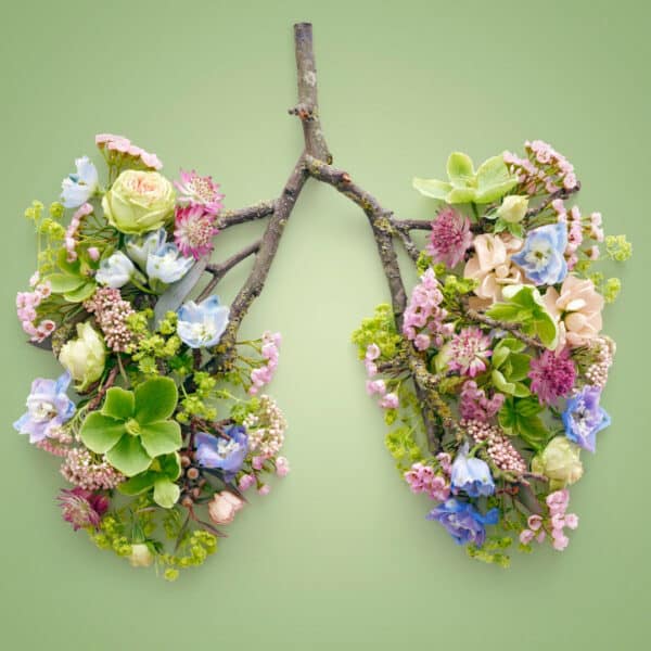 hayfever injections essex london vie aesthetics