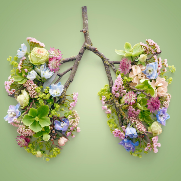 menopause clinic in Essex vie aesthetics menopause symptoms