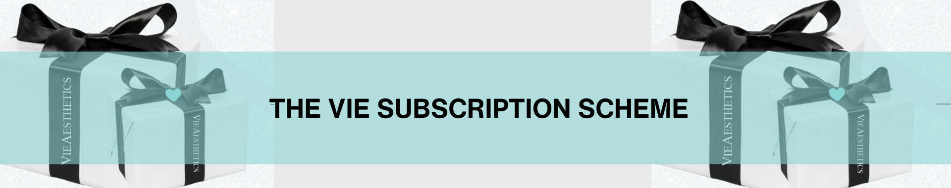 Vie Subscription Scheme