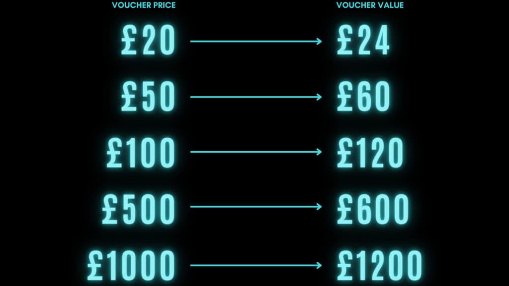 BLACK FRIDAY VIE AESTHETICS 2025