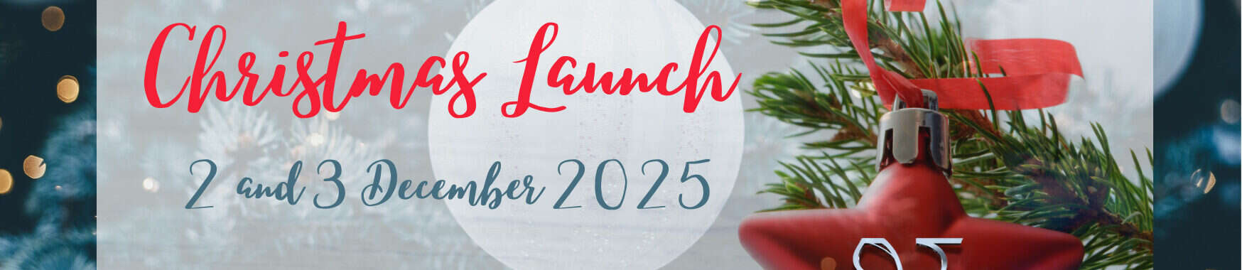 Vie Clinics Red Carpet Christmas Launch